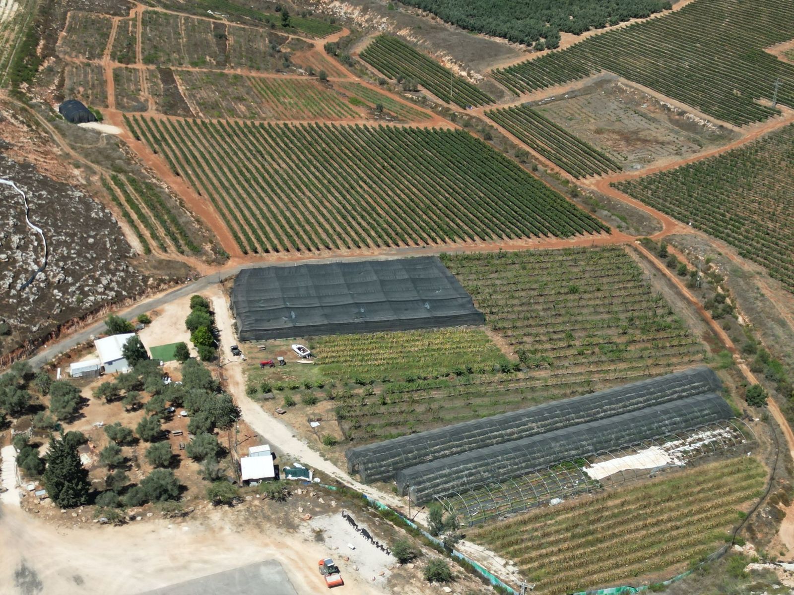 מבט על חוות ביכורי שילה, הכרמים והבוסתנים בנחל שילה